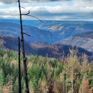 Meet your Posher, Dustyn